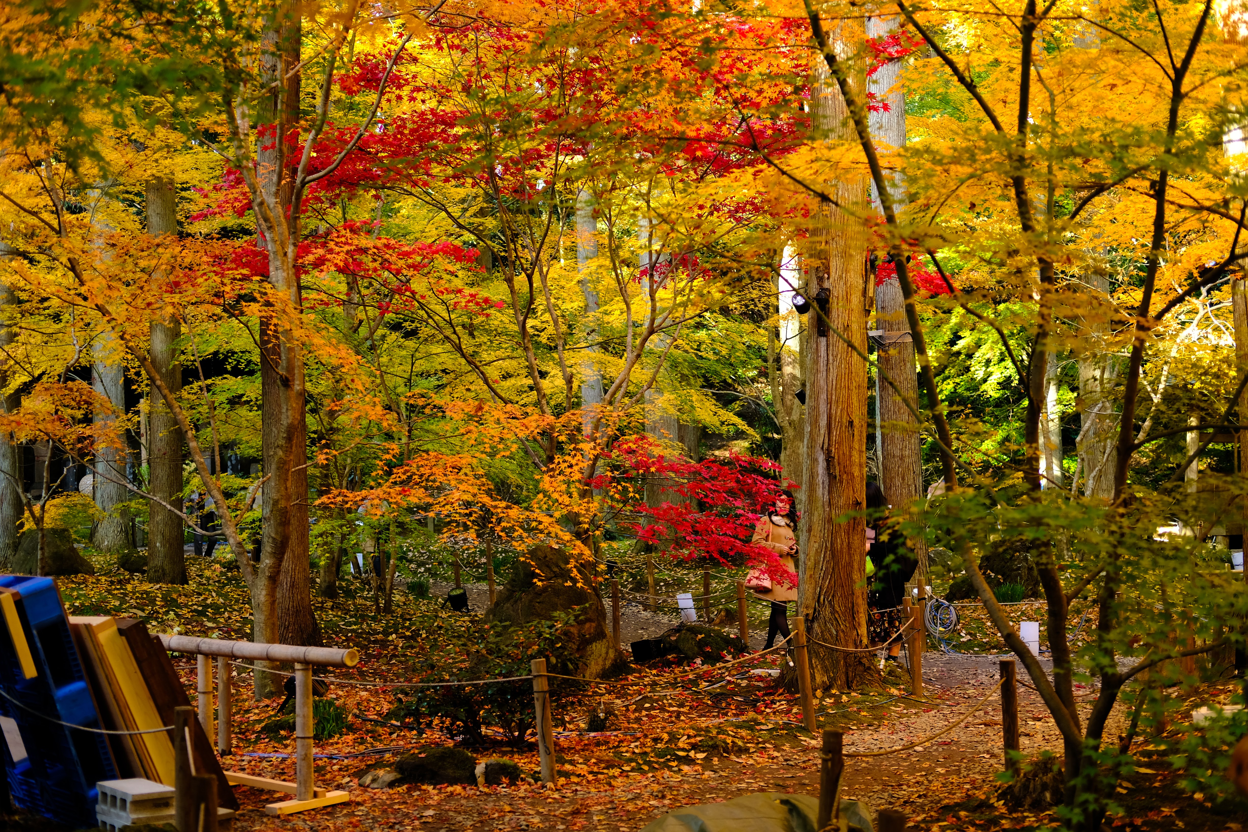 matsushima 円通院3