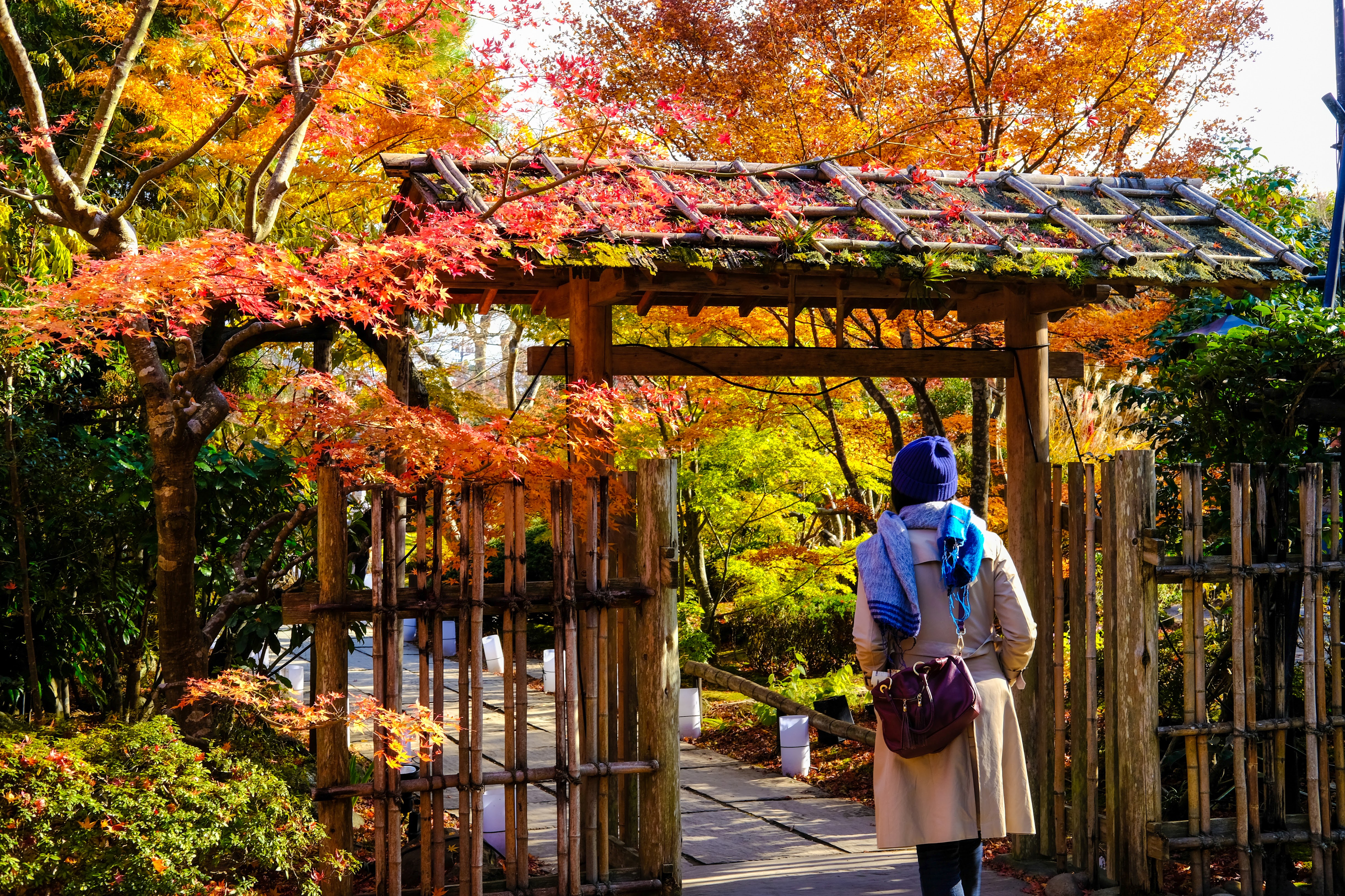 matsushima 円通院4