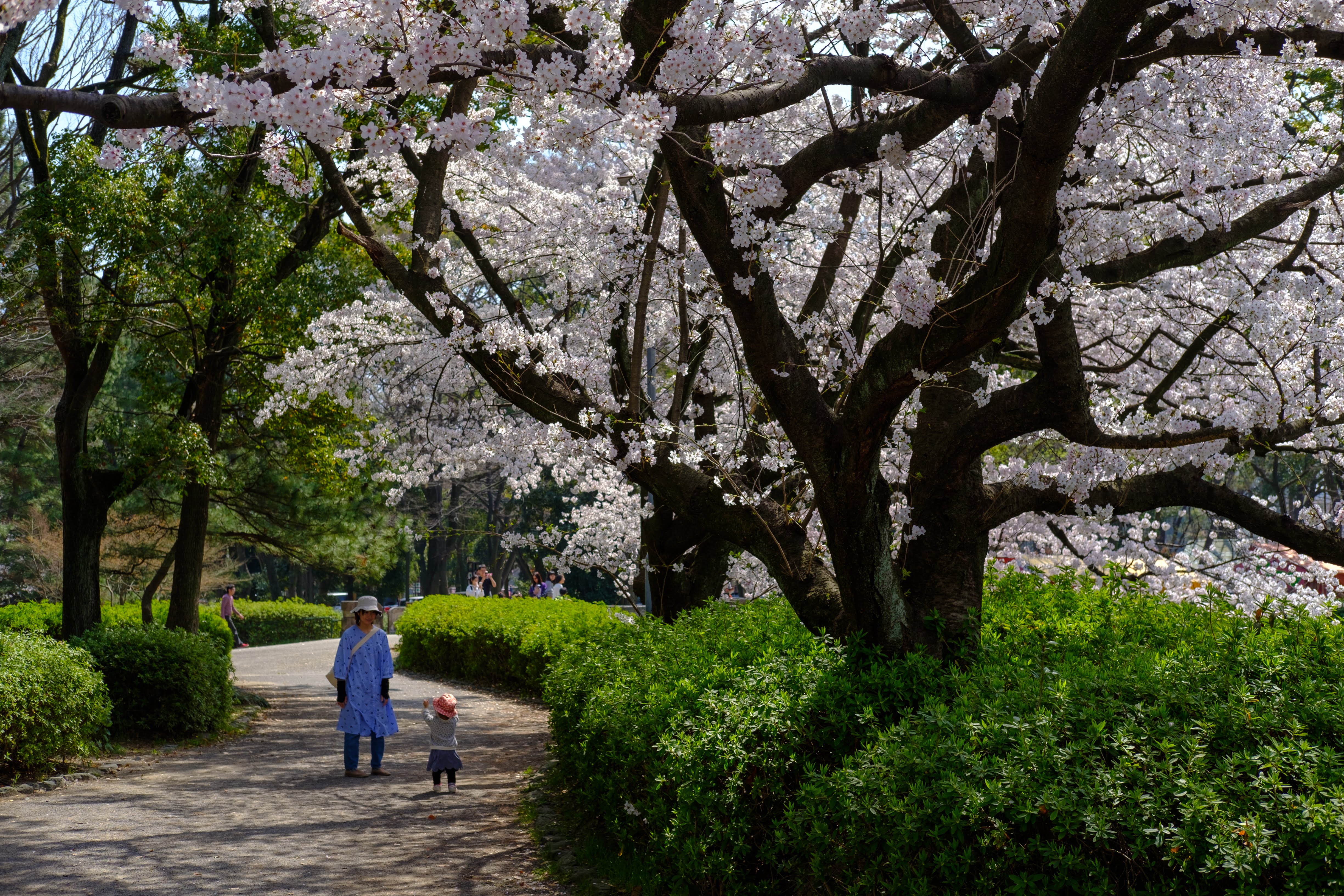 nagoya 名古屋城外堀