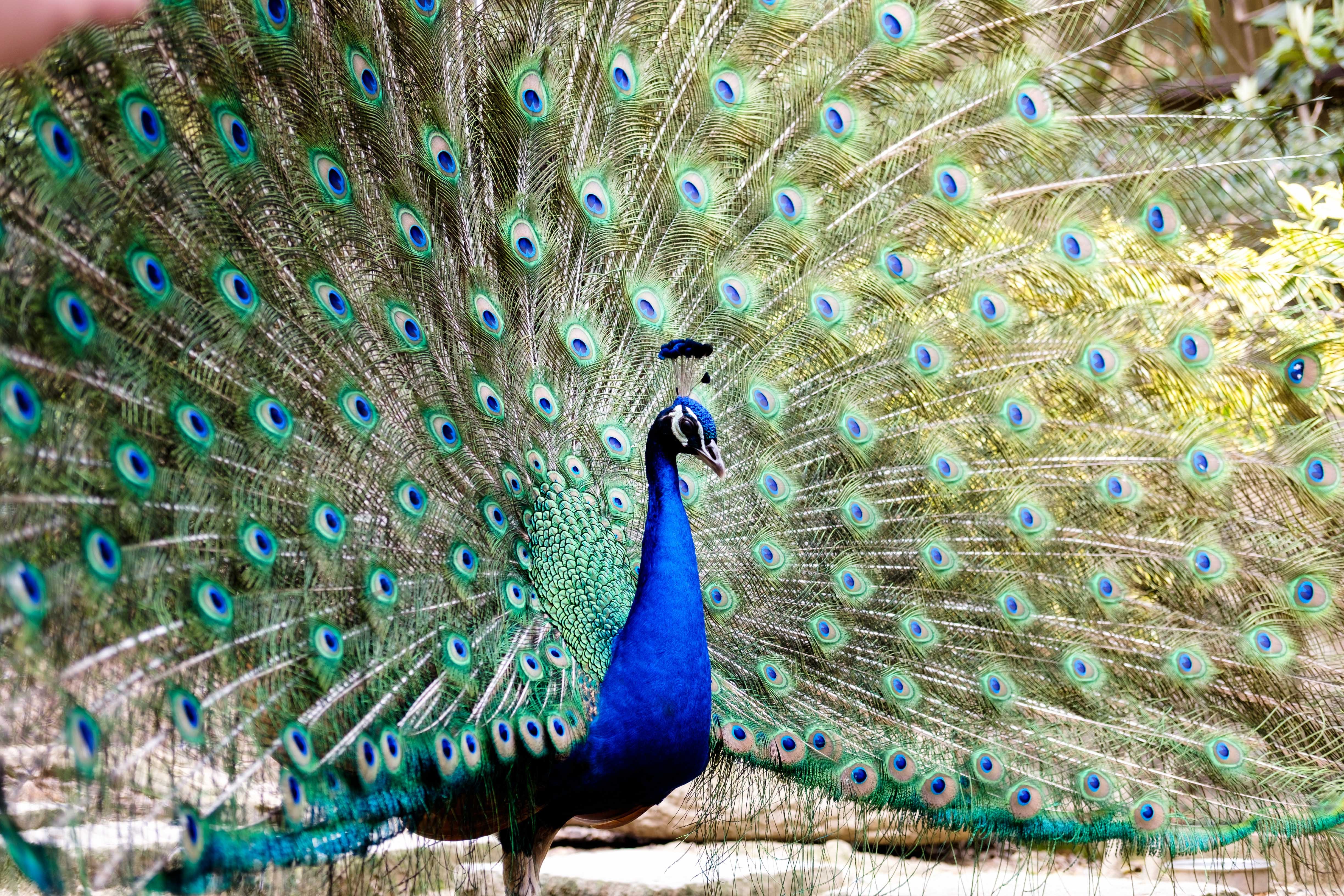 nagoya 東山動植物園